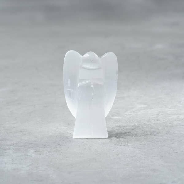 000000022504-01.jpg?size=l&w=