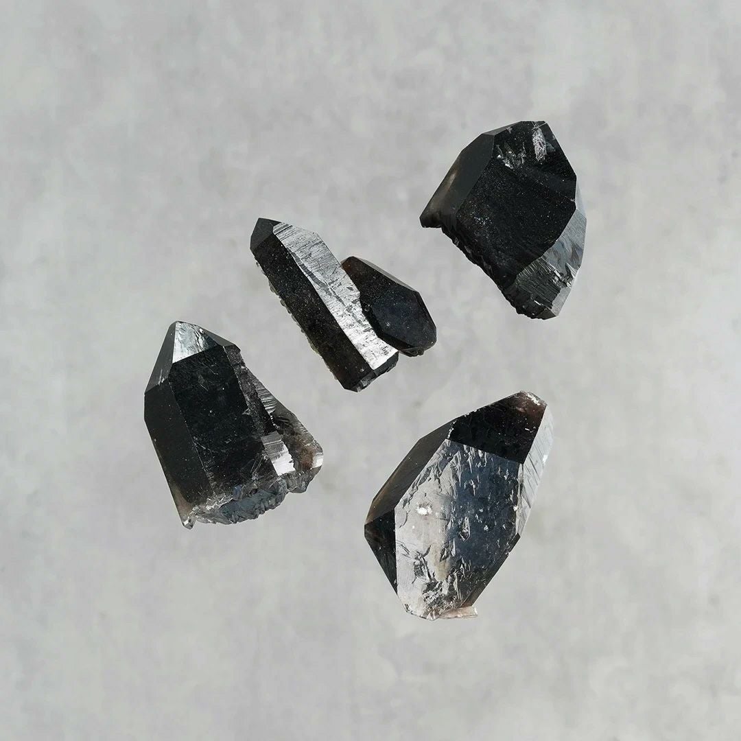 Morion × Obsidian ear cuff /モリオン | Hariqua-パワーストーン