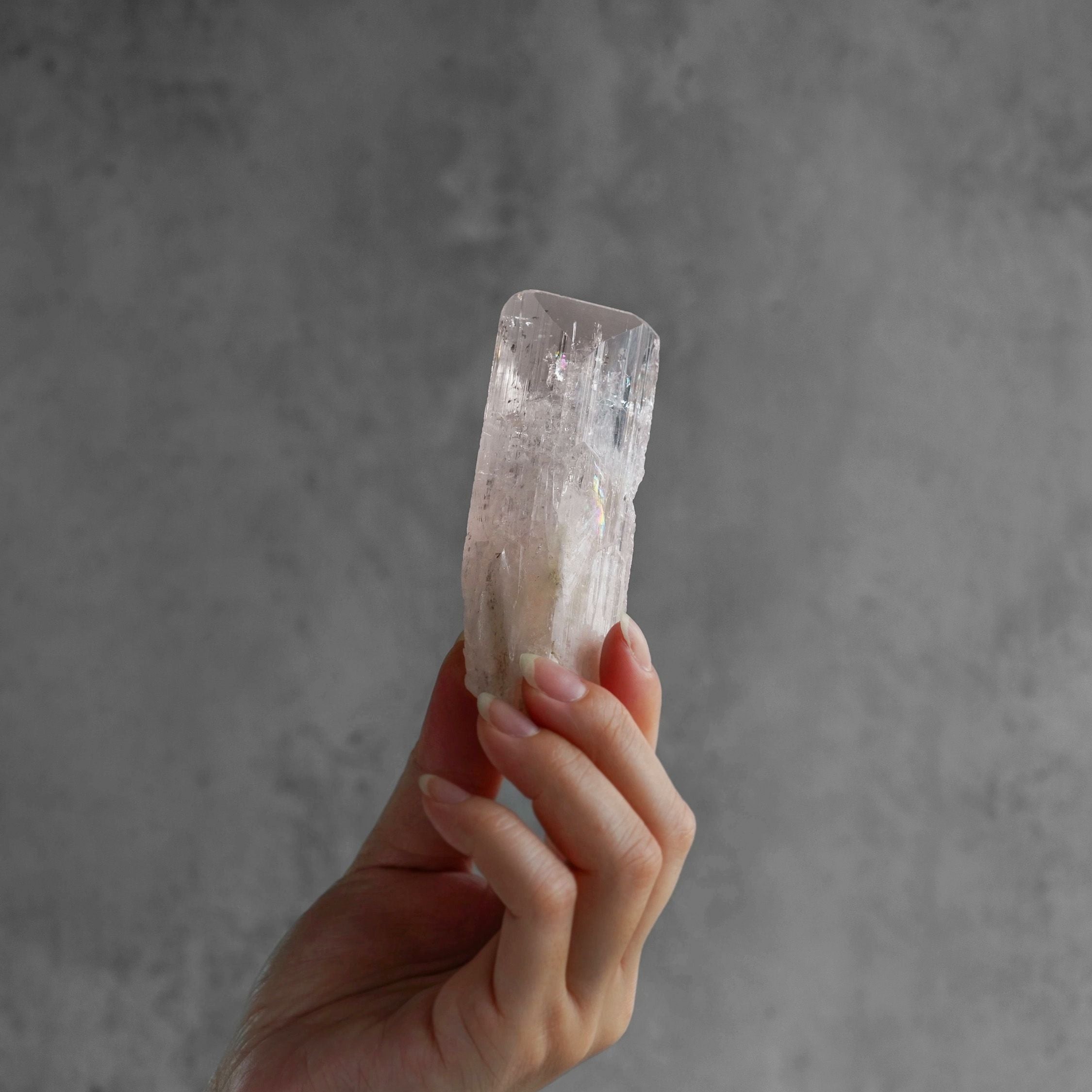 000000027692-01.jpg?size=m&w=