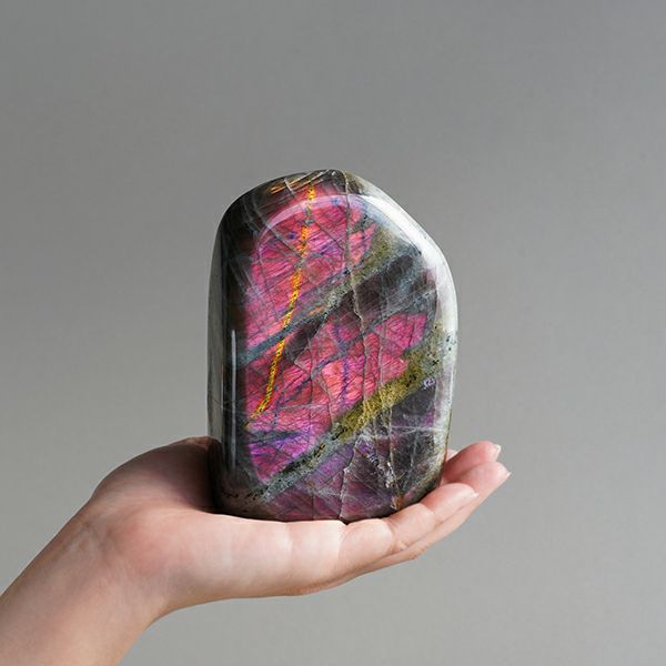 000000028531-01.jpg?size=l&w=