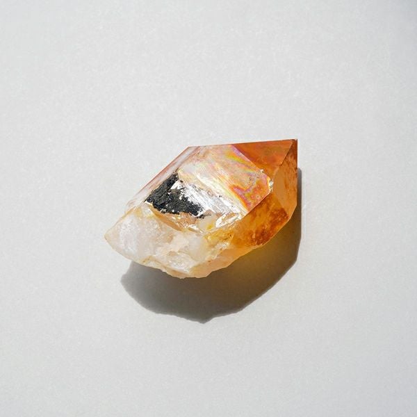 000000029393-01.jpg?size=m&w=