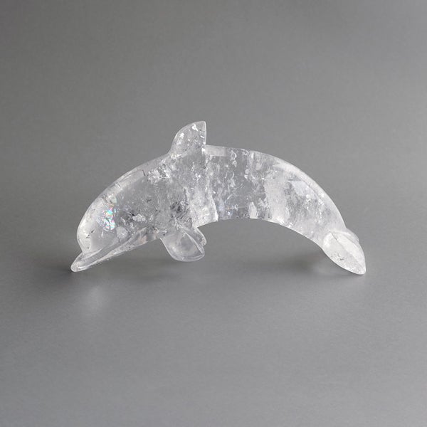 Iris Lemurianseed quartz Dolphin 770g /アイリスレムリアンシード