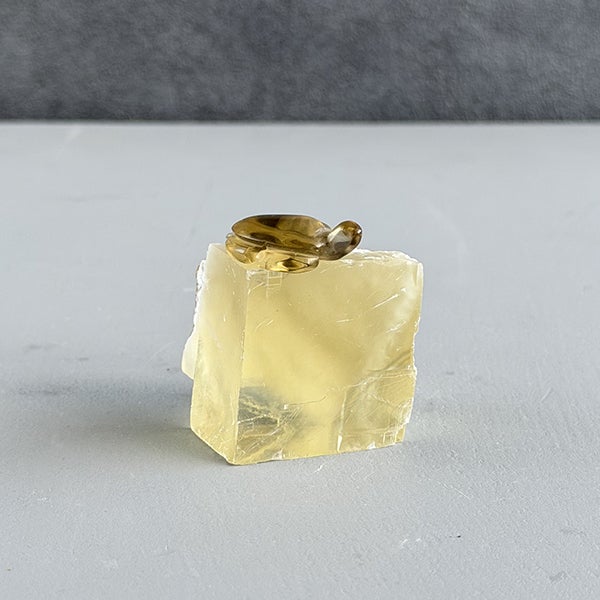 Citrine Turtle & Yellow calcite/シトリン、イエローカルサイト