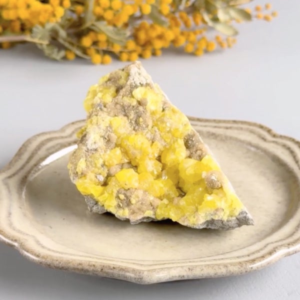 Slufer × Aragonite 80g /サルファー、アラゴナイト | Hariqua