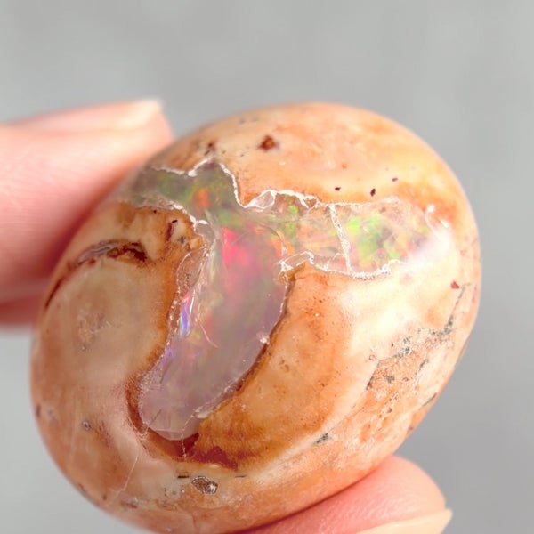Cantera opal Amulet 60ct E /カンテラオパール | Hariqua